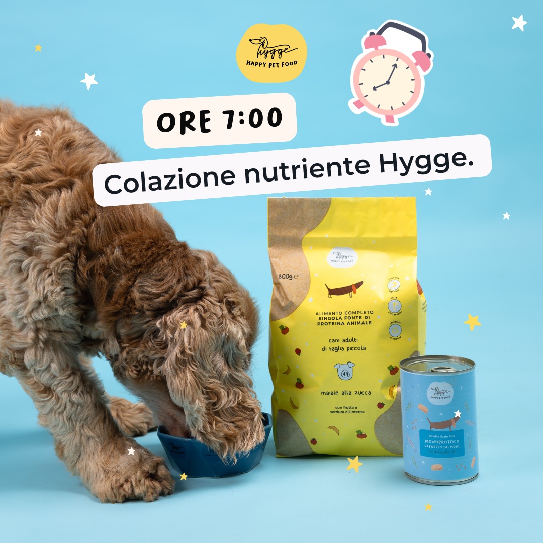 Hygge Dog - La ricetta della felicita'