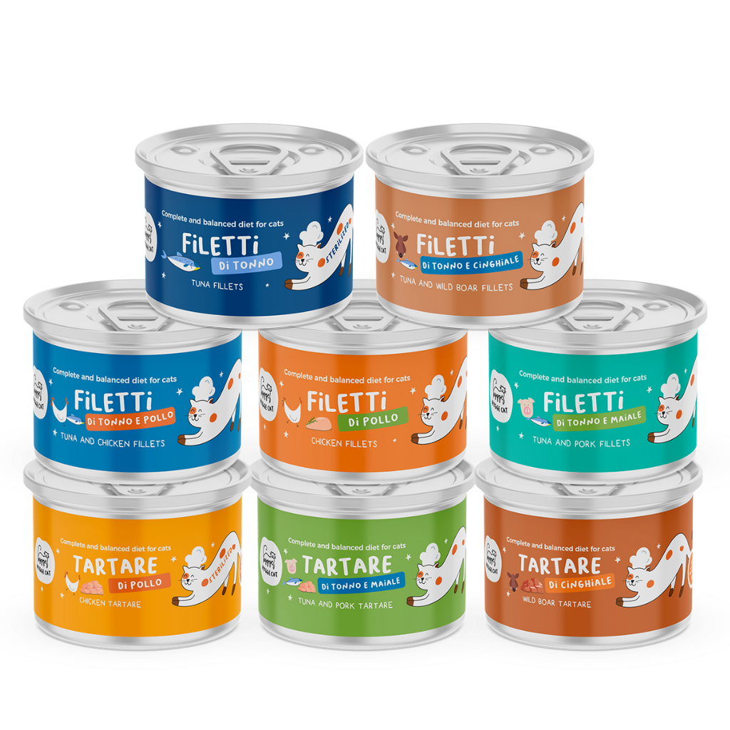 Box succulenti assaggi – Alimenti completi per gatti