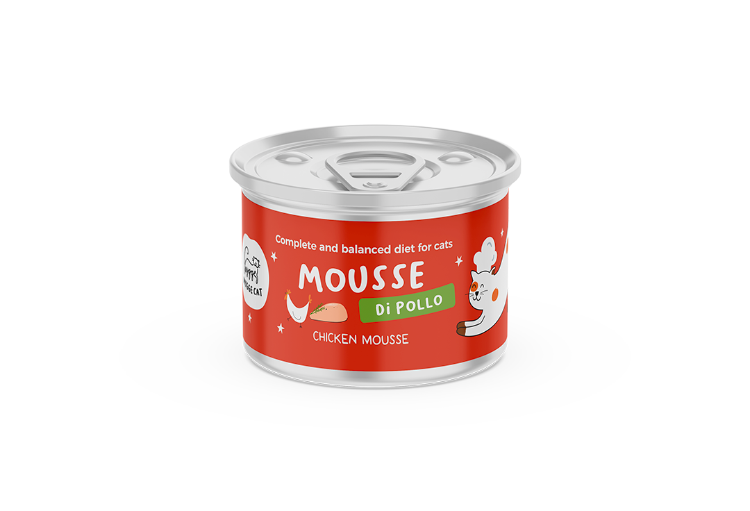 Mousse di pollo